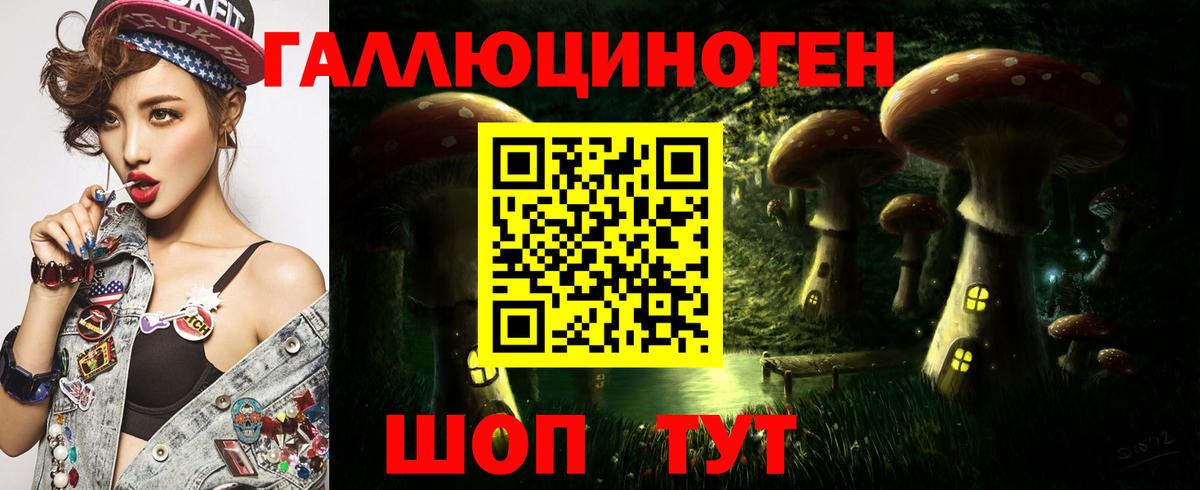 наркота  Вход с VPN  Ликино-Дулёво  Псилоцибиновые грибы Psilocybine cubensis 